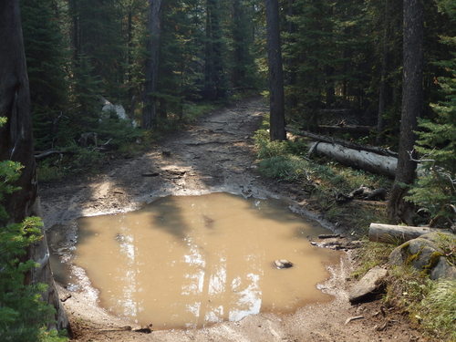 GDMBR: Challenging Bicycle Tour Trail.
